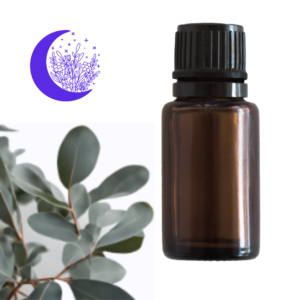 Eucalyptus pure essential oil