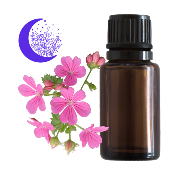 Rose geranium