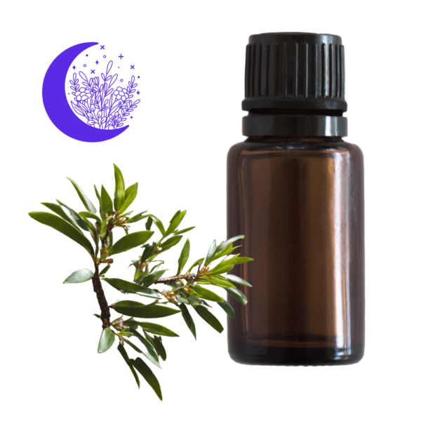 Tea tree pure essential oil