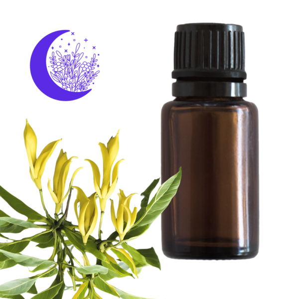 Ylang ylang pure essential oil